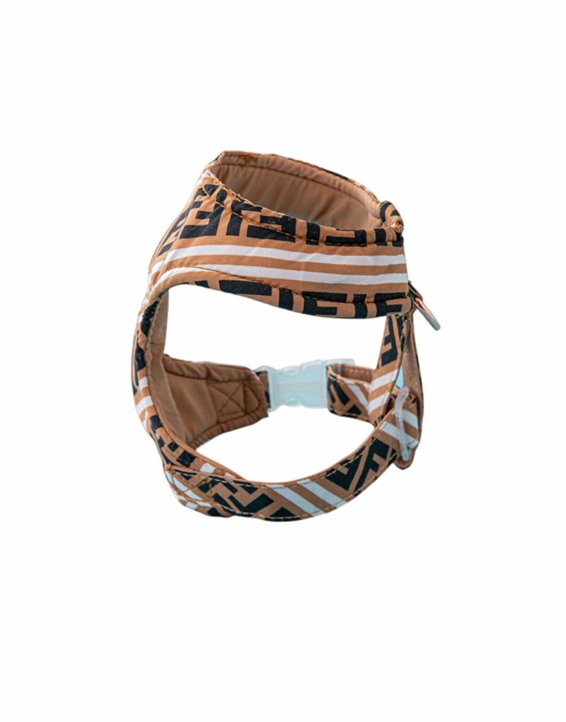 Fendi Harness And Leash Brown For Pet