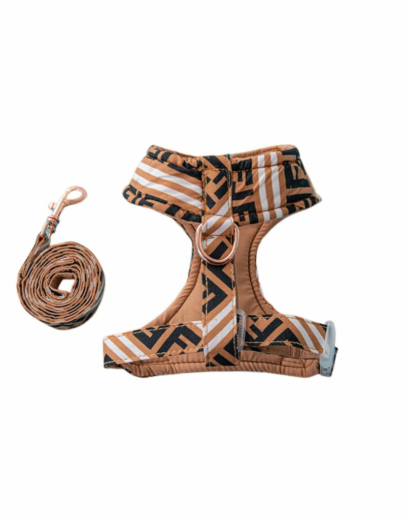 Fendi Harness And Leash Brown For Pet