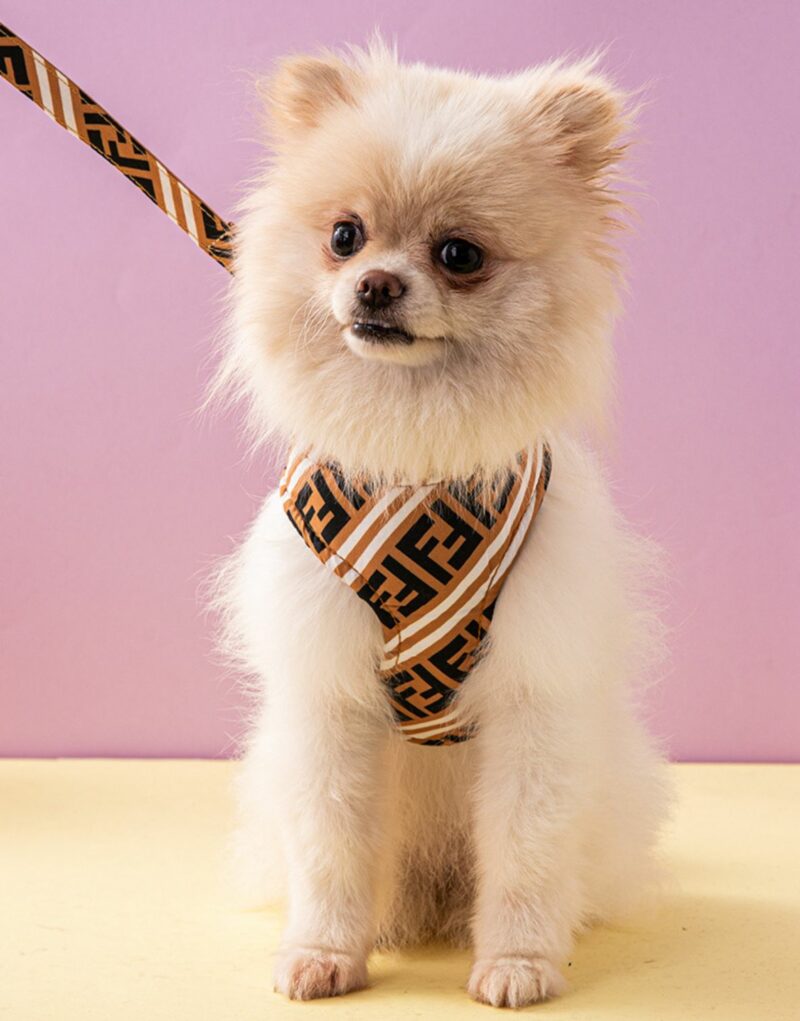 Fendi Harness And Leash Brown For Pet