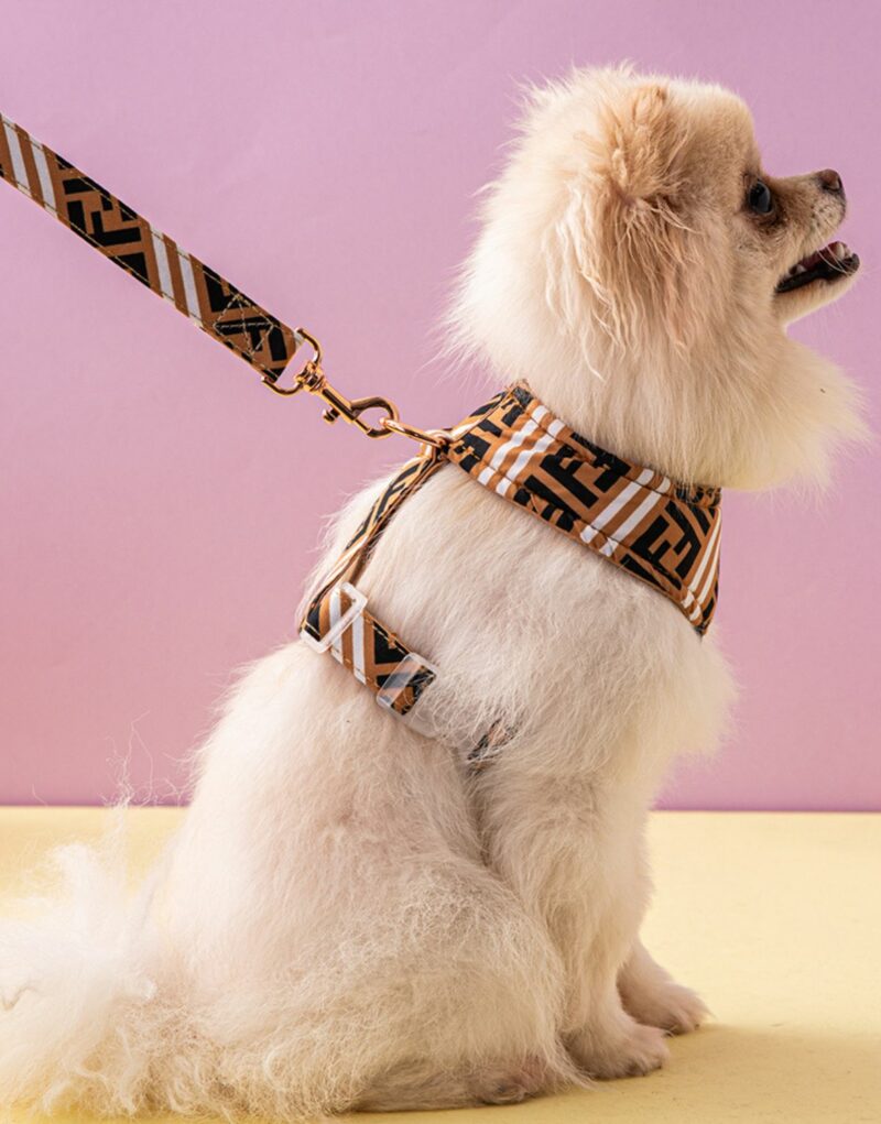 Fendi Harness And Leash Brown For Pet