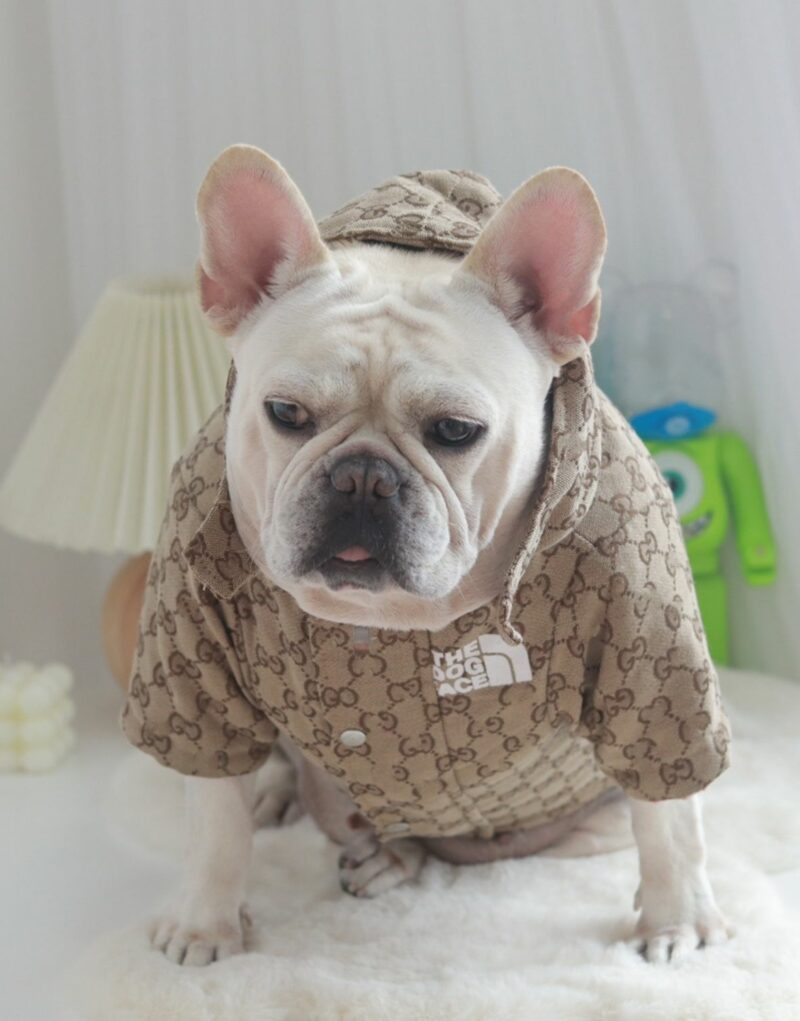 Gucci Jacket Dark Beige For Pet