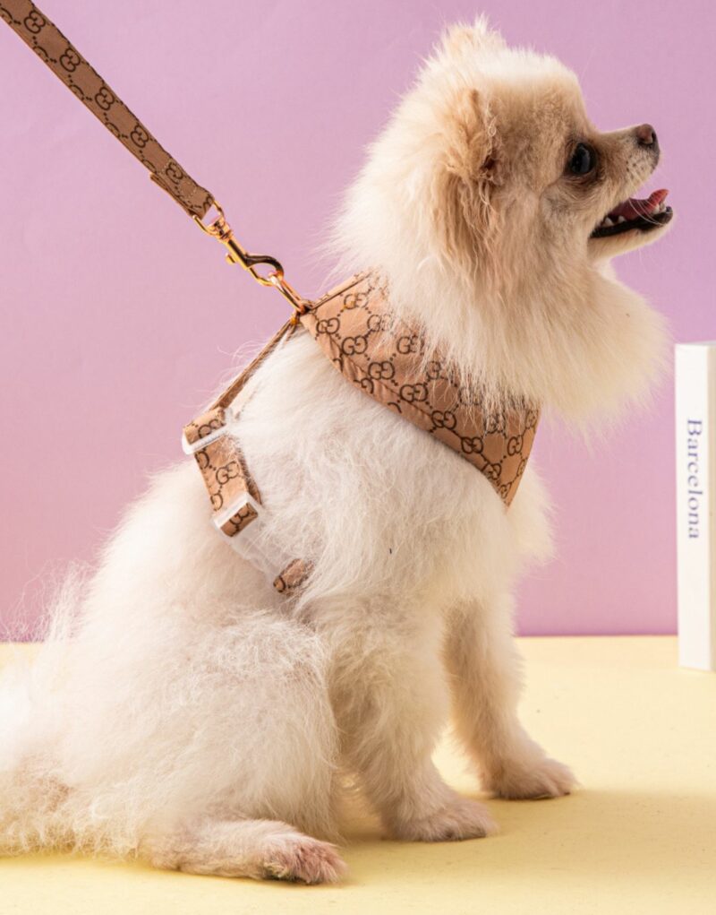 Gucci Harness And Leash Brown For Pet