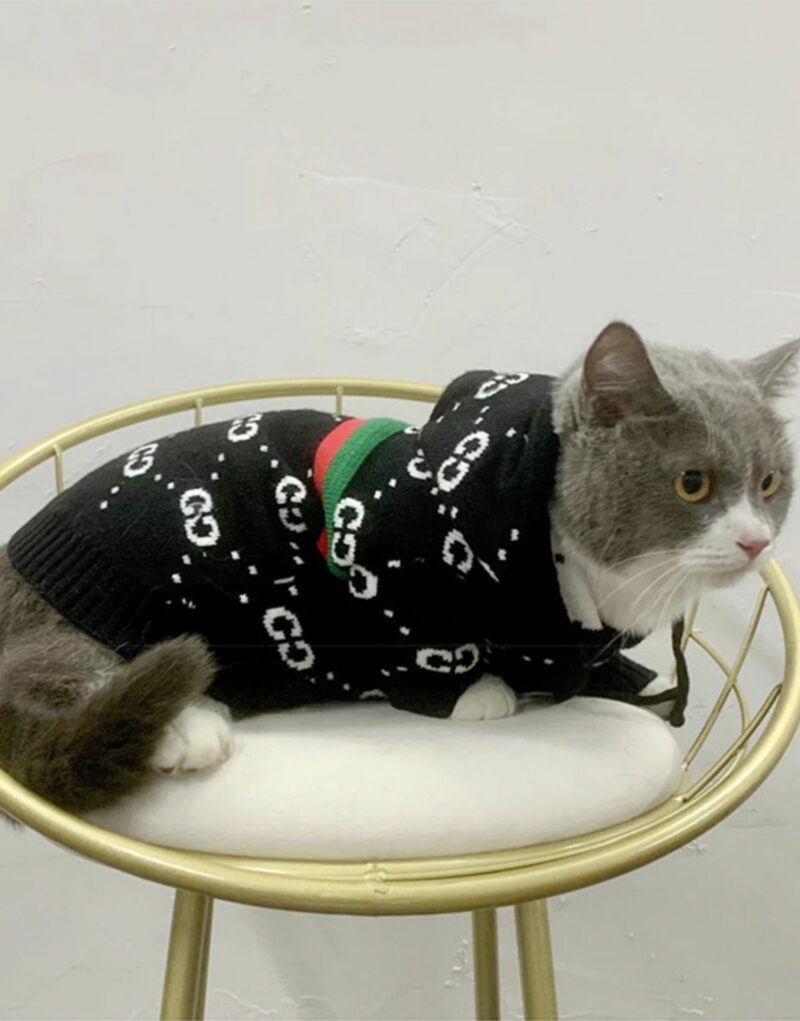 Gucci Hoodies Black For Pet