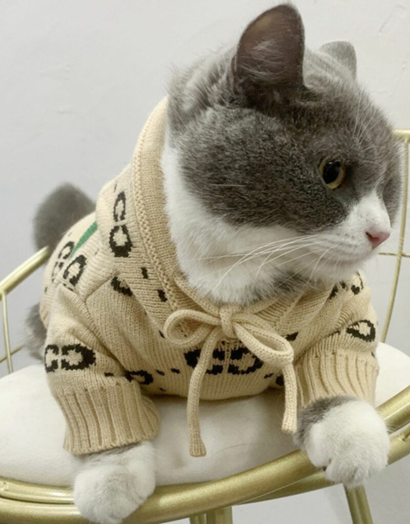 Gucci Hoodies Beige For Pet