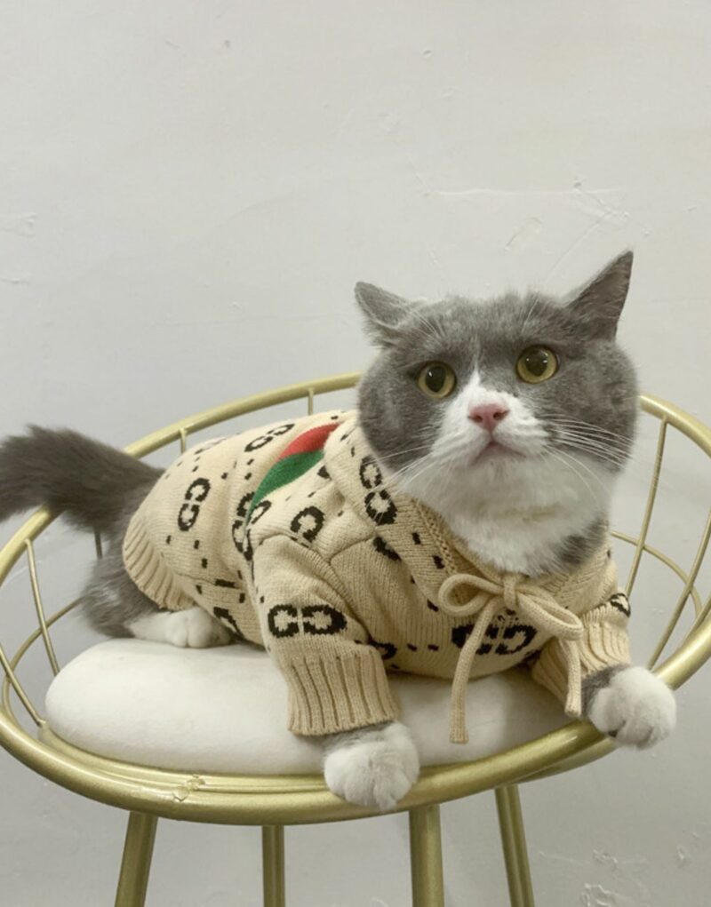 Gucci Hoodies Beige For Pet