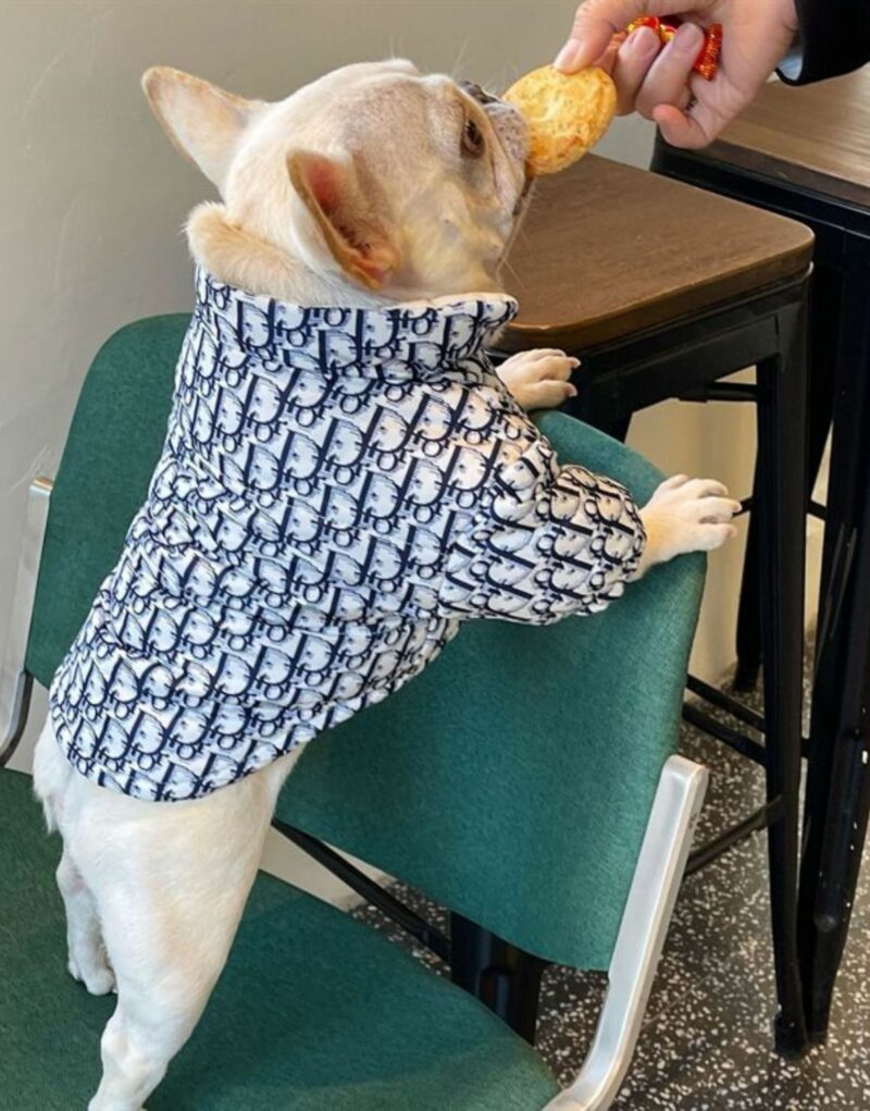 Dior Jacket Blue For Pet
