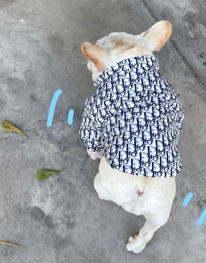 Dior Jacket Blue For Pet
