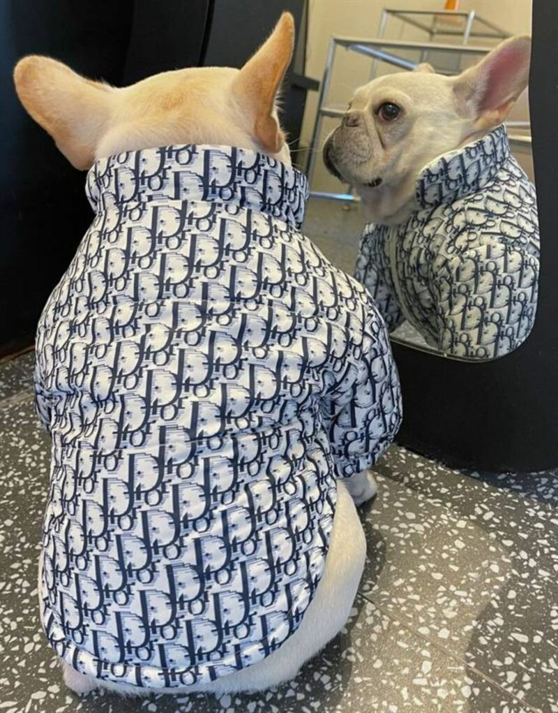 Dior Jacket Blue For Pet