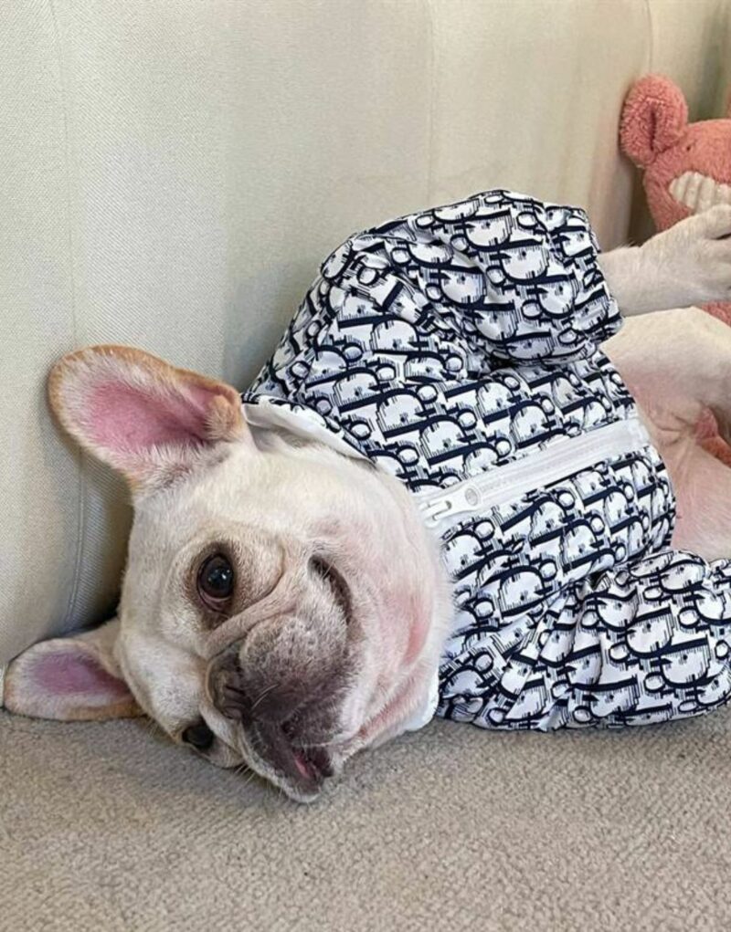 Dior Jacket Blue For Pet