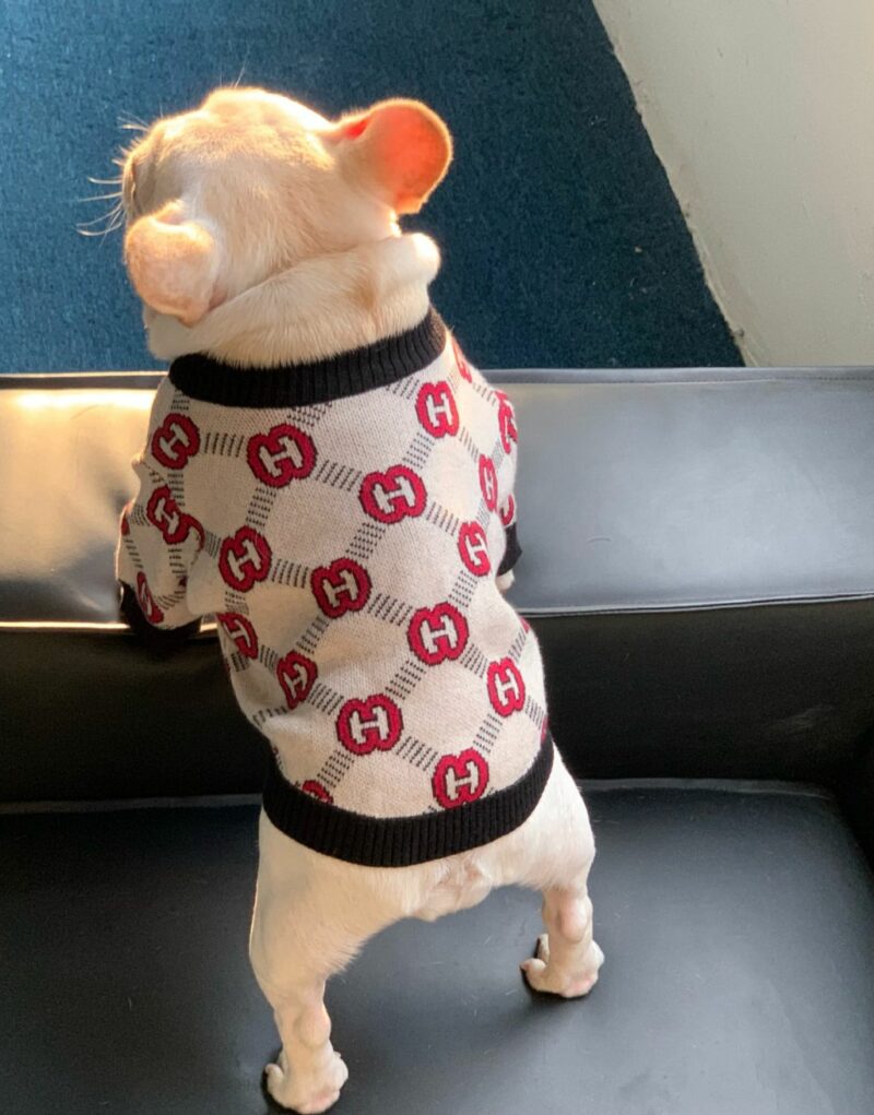 Gucci Sweater Beige For Pet