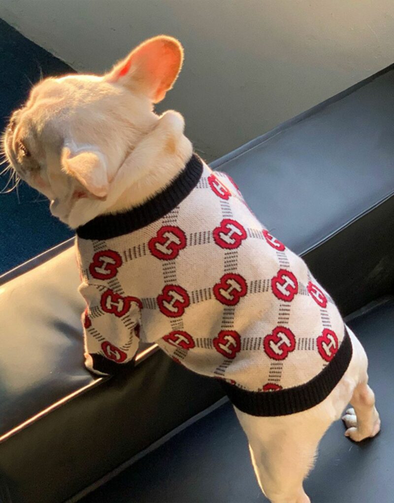 Gucci Sweater Beige For Pet