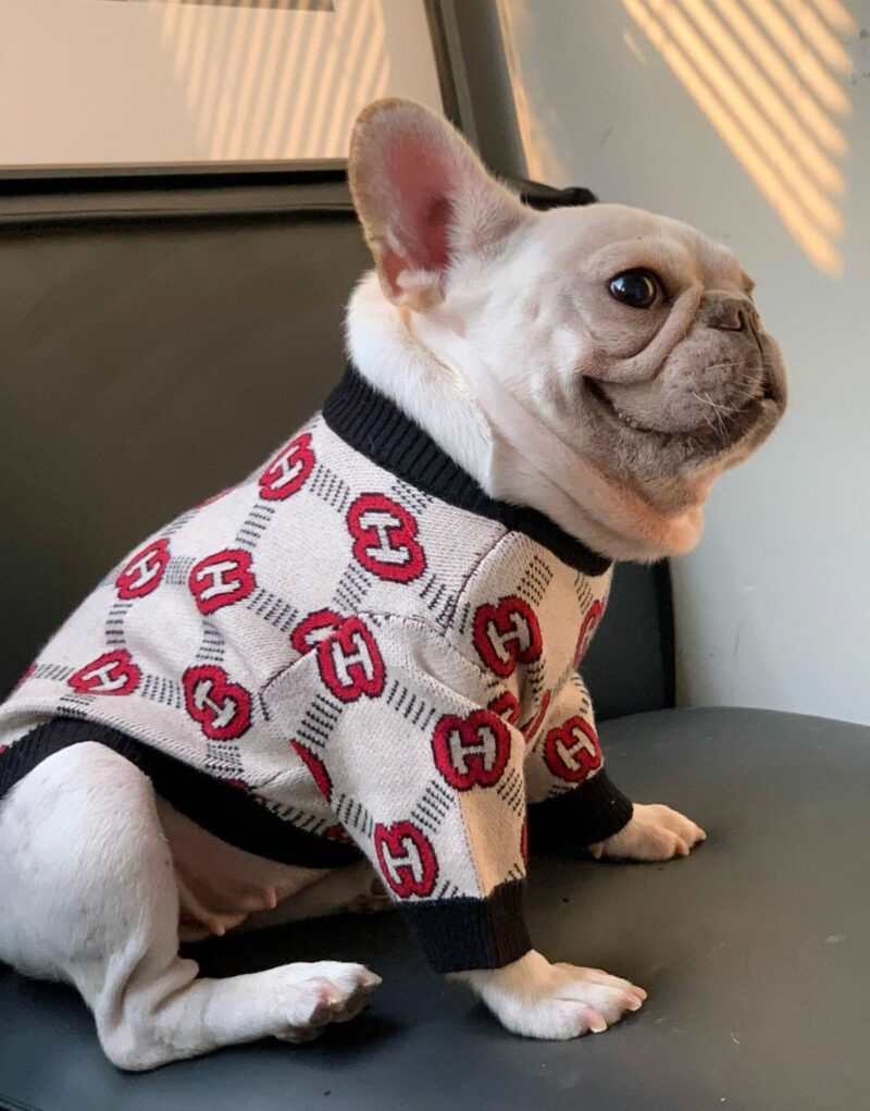 Gucci Sweater Beige For Pet