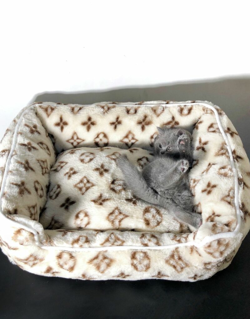 Louis Vuitton Bed Cream For Pet