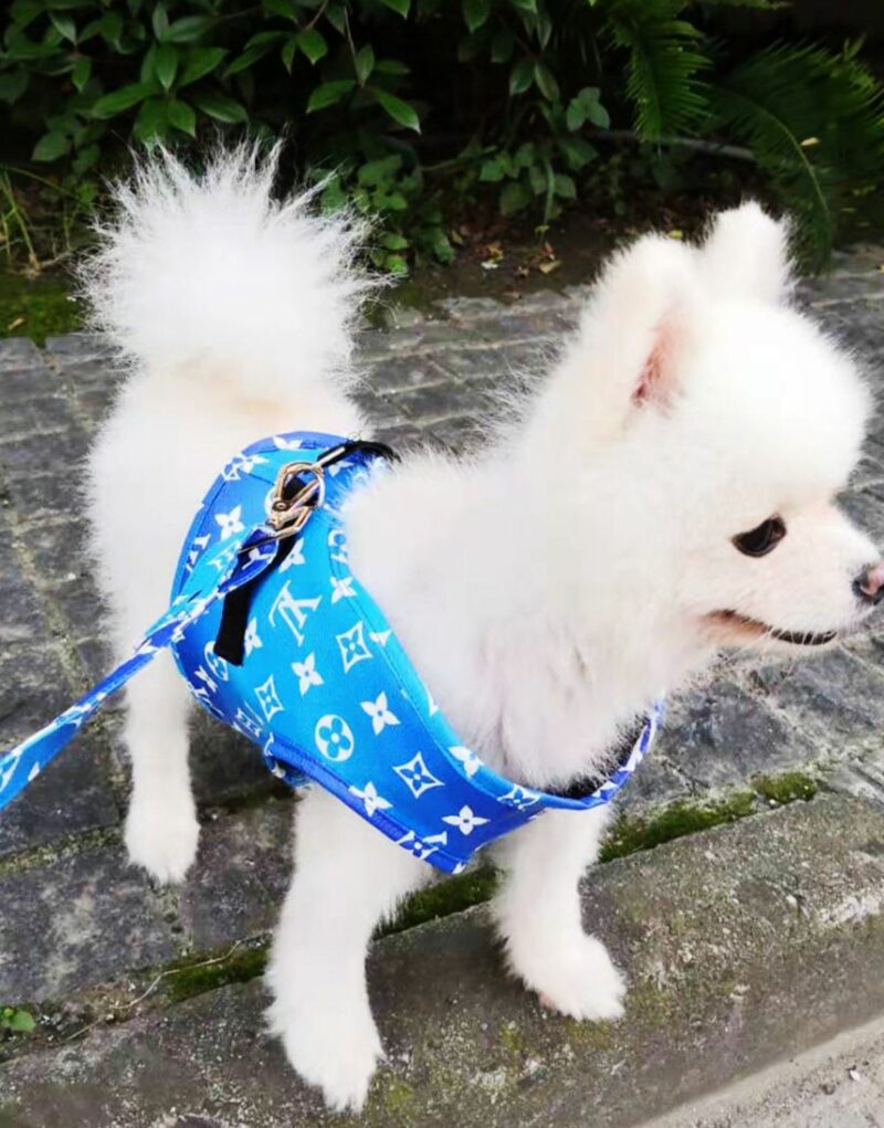 Louis Vuitton Harness And Leash Blue Monogram For Pet