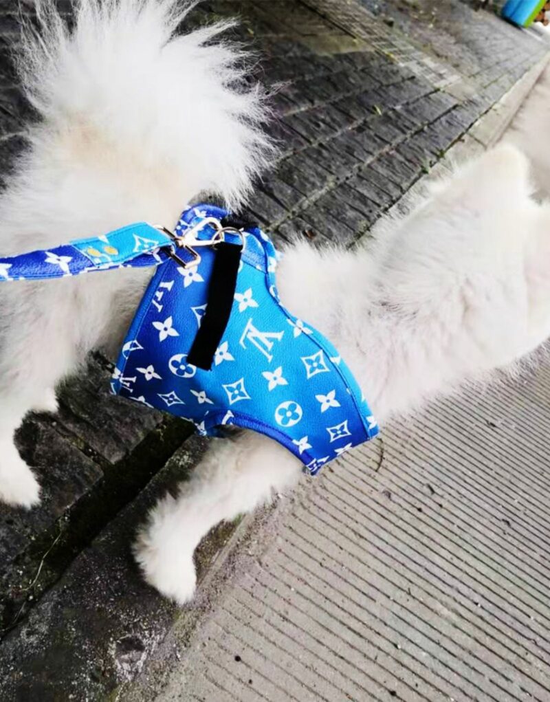 Louis Vuitton Harness And Leash Blue Monogram For Pet