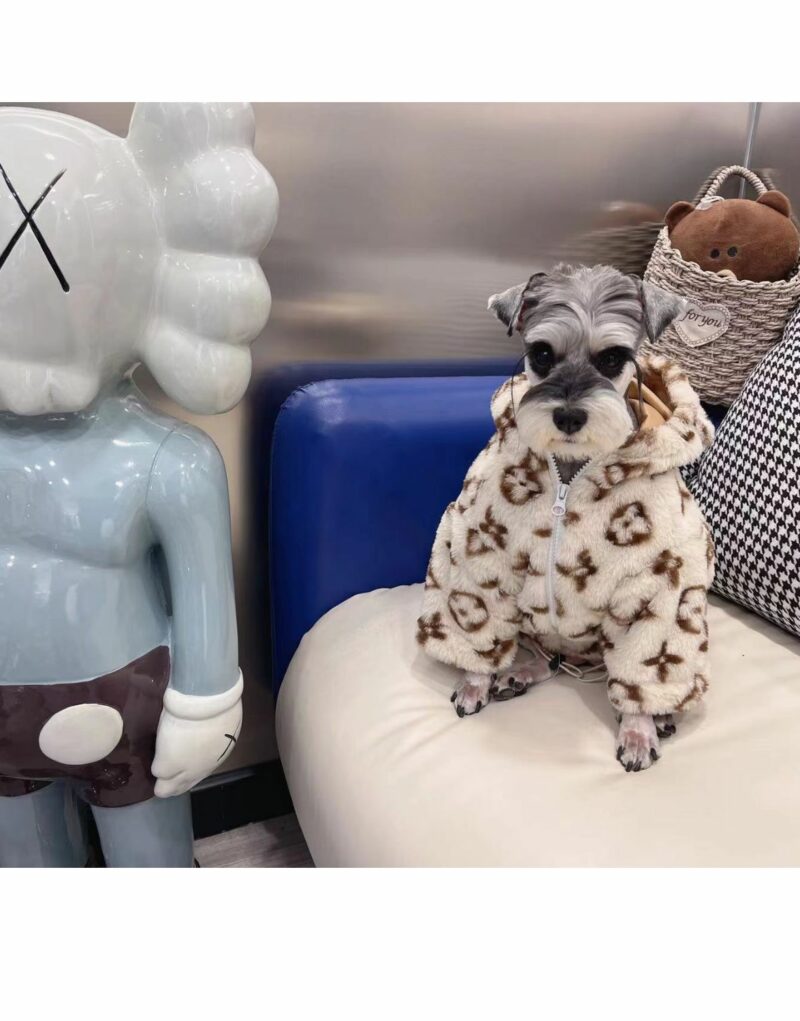 Louis Vuitton Hoodies With Ears Beige For Pet