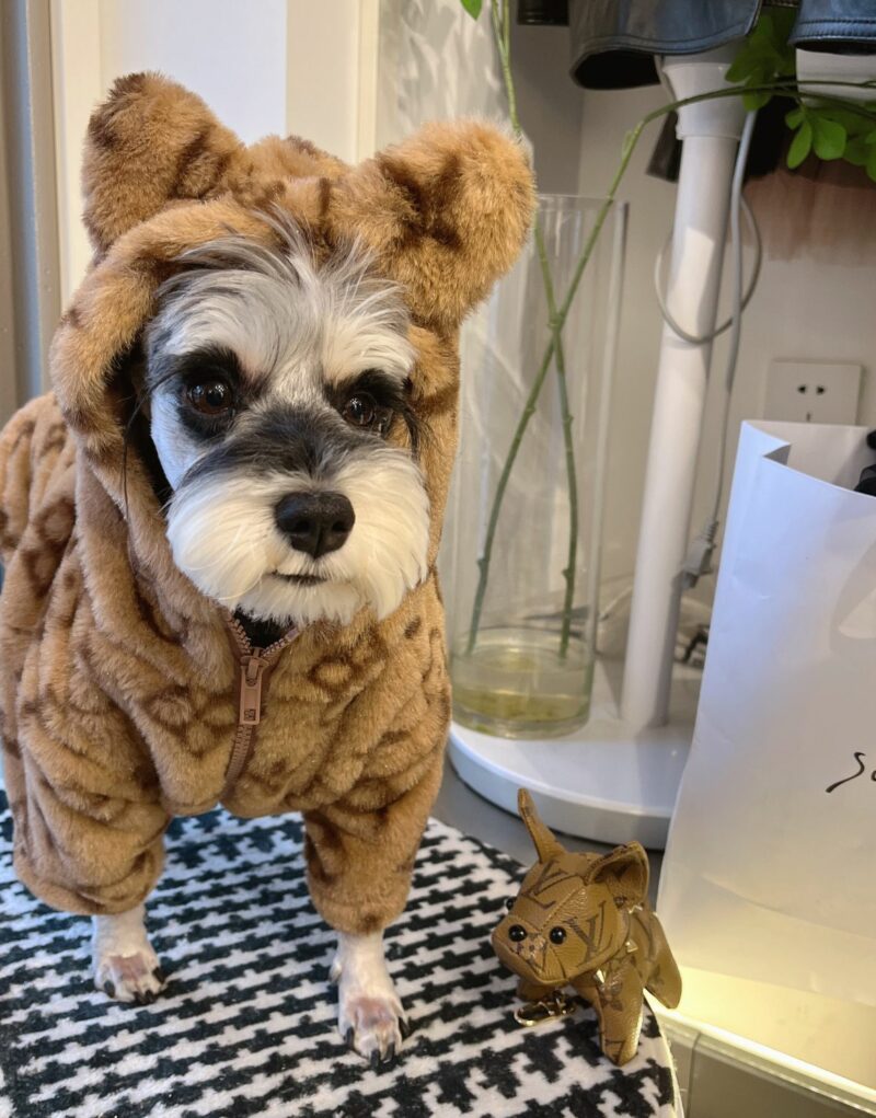 Louis Vuitton Hoodies With Ears Brown For Pet