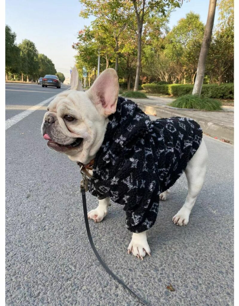 Louis Vuitton Jacket Black For Pet