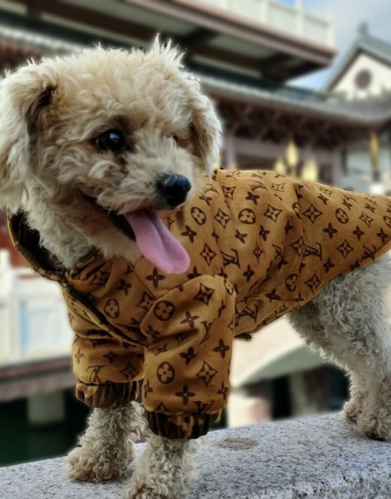 Louis Vuitton Jacket Monogram Brown For Pet