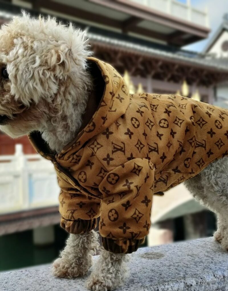 Louis Vuitton Jacket Monogram Brown For Pet