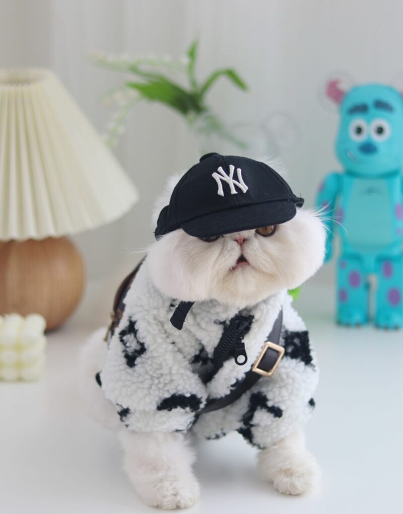 Louis Vuitton Jacket White For Pet