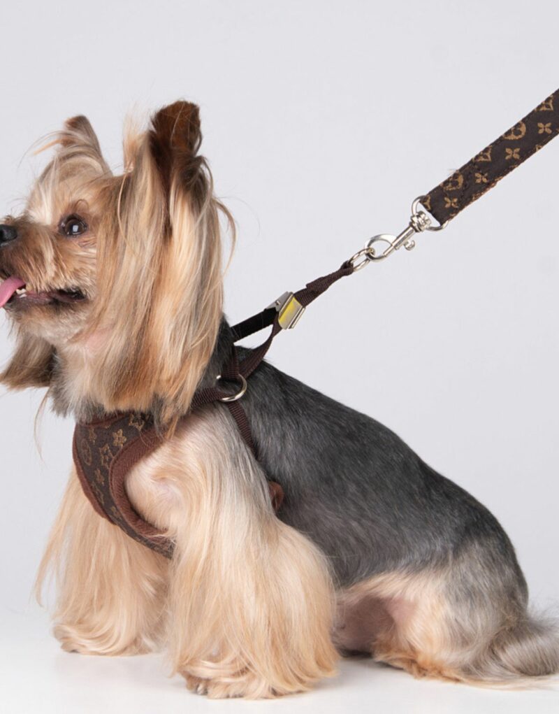 Louis Vuitton Harness And Leash Monogram Brown For Pet