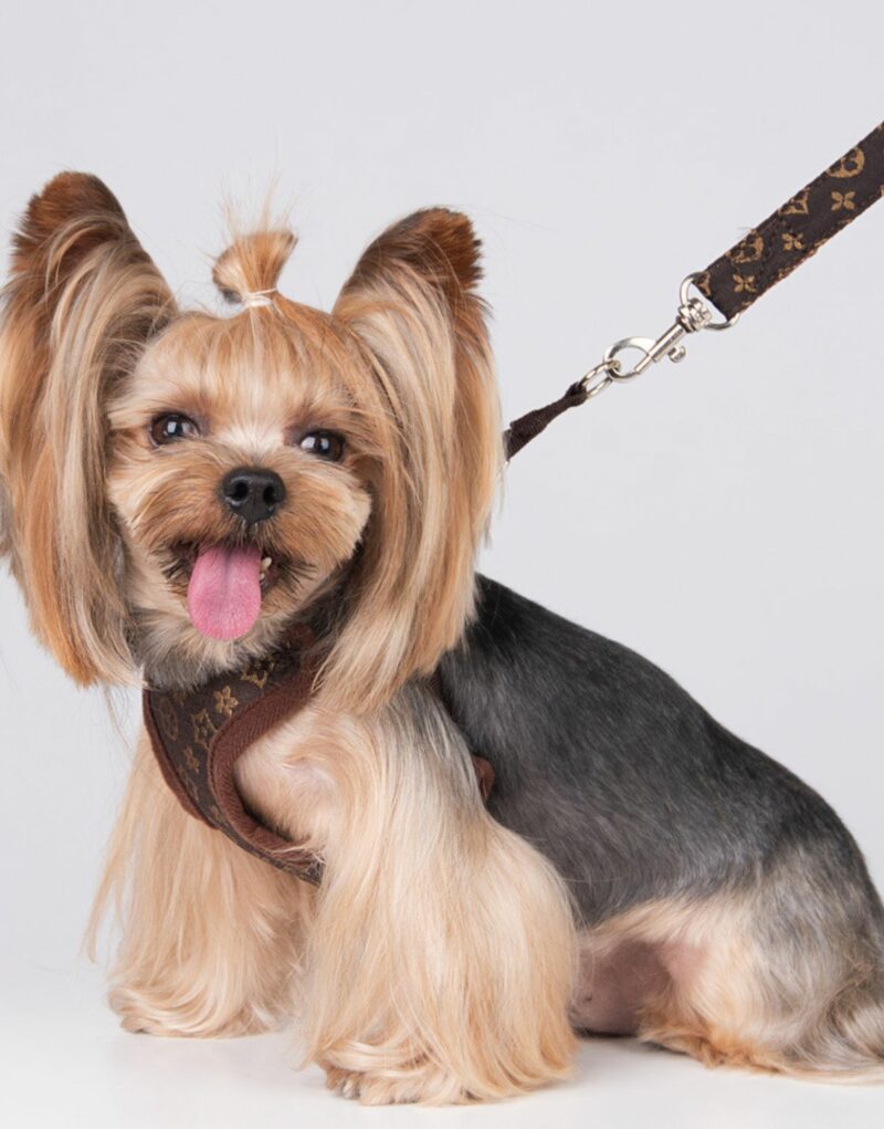 Louis Vuitton Harness And Leash Monogram Brown For Pet