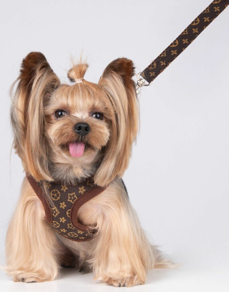 Louis Vuitton Harness And Leash Monogram Brown For Pet
