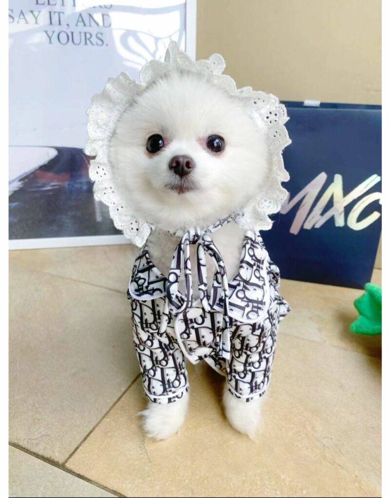 Dior T-Shirt Black/White For Pet