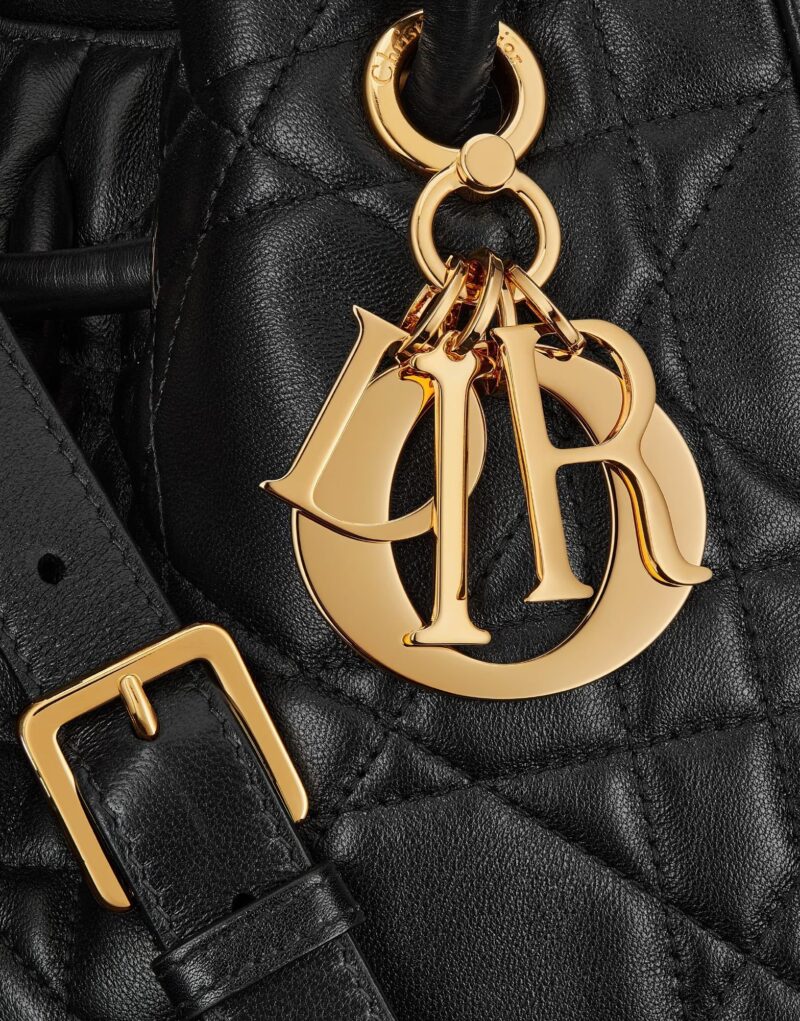 Special Set Dior: Medium Nolita Bag + Rice Grain CD Letter Earrings