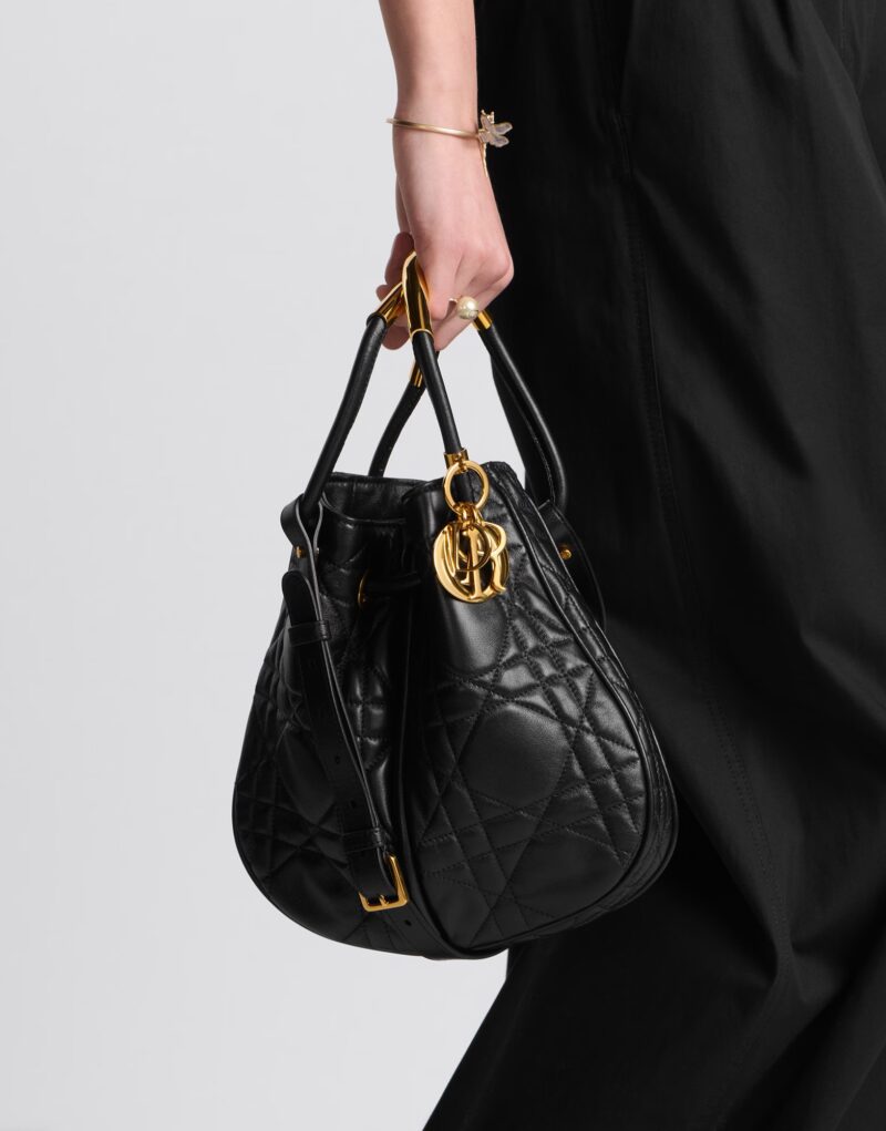 Special Set Dior: Medium Nolita Bag + Rice Grain CD Letter Earrings