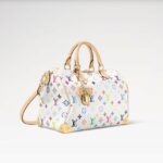 Louis Vuitton LV x TM Speedy Soft 30 Crossbody Bag 11.8in/ 30cm Multicolored Gold Hardware For Women M27789