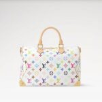 Louis Vuitton LV x TM Speedy Soft 30 Crossbody Bag 11.8in/ 30cm Multicolored Gold Hardware For Women M27789