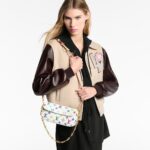 Louis Vuitton LV x TM Wallet On Chain Ivy Crossbody Bag 9.3in/ 24cm Multicolor Gold Hardware For Women M27492