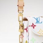 Louis Vuitton LV x TM Wallet On Chain Ivy Crossbody Bag 9.3in/ 24cm Multicolor Gold Hardware For Women M27492