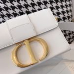 Christian Dior Mini 30 Montaigne Bag 7in/18cm Gold Hardware Calfskin Leather Spring/Summer Collection