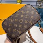 Louis Vuitton Dauphine Backpack PM Monogram and Monogram Reverse Canvas By Nicolas Ghesquiere For Spring-Summer, Women's Bags 20cm LV M45142
