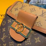 Louis Vuitton Dauphine Backpack PM Monogram and Monogram Reverse Canvas By Nicolas Ghesquiere For Spring-Summer, Women's Bags 20cm LV M45142