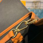 Louis Vuitton Dauphine Backpack PM Monogram and Monogram Reverse Canvas By Nicolas Ghesquiere For Spring-Summer, Women's Bags 20cm LV M45142