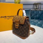 Louis Vuitton Dauphine Backpack PM Monogram and Monogram Reverse Canvas By Nicolas Ghesquiere For Spring-Summer, Women's Bags 20cm LV M45142