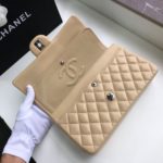 Chanel Classic Handbag Silver Hardware Beige For Women, Women's Bags, Shoulder And Crossbody Bags 10.2in/26cm A01112