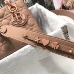 Christian Dior Smal Lady Dior My ABCDIOR Bag Brown For Women 8in/20cm CD