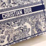 Christian Dior Large Dior Book Tote For Women 16.5in/42cm CD M1286ZRIW