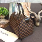 Louis Vuitton Speedy 30 Bag Damier Ebene Canvas For Women 11.8in/30cm Brown LV N41364