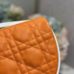 Christian Dior Medium Dior Vibe Hobo Bag, Orange, For Women Women's Handbags, Crossbody Bags, 30cm CD