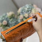 Christian Dior Medium Dior Vibe Hobo Bag, Orange, For Women Women's Handbags, Crossbody Bags, 30cm CD
