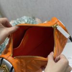 Christian Dior Medium Dior Vibe Hobo Bag, Orange, For Women Women's Handbags, Crossbody Bags, 30cm CD