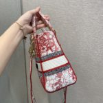 Christian Dior Medium Lady D-Lite Bag, Red, For Women Women's Handbags, Crossbody Bags, 24cm CD