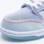 Nike Dunk Low Union Passport Pack Argon Sneaker For Men, Men's Shoes