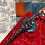 Christian Dior Mini Lady Dior Bag with Chain Silver Hardware Spring/Summer Collection, Red, For Women Women’s Handbags, 17cm CD M0505OCAL_M52R